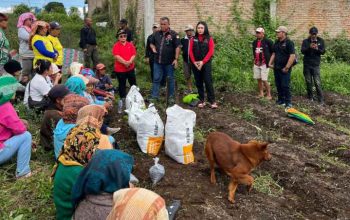 PDI Perjuangan Menyapa Petani, Laksanakan Bakti Tani di Simalungun